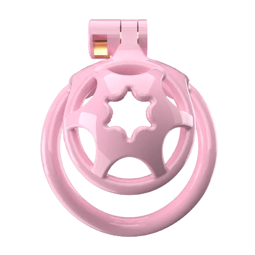 CHASTITY CAGE CO Male Sex Toys Super Small WX2 Sissy Chastity Cage With 5 Arc Rings