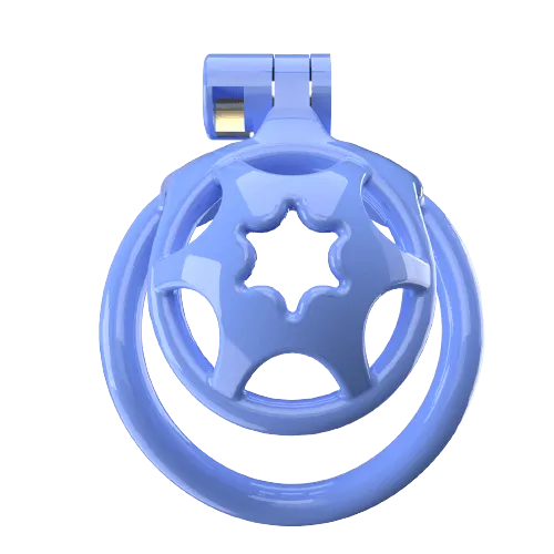 CHASTITY CAGE CO Male Sex Toys Super Small WX2 Sissy Chastity Cage With 5 Arc Rings