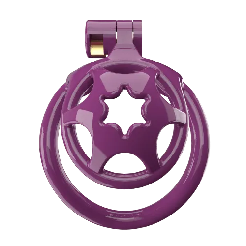 CHASTITY CAGE CO Male Sex Toys Super Small WX2 Sissy Chastity Cage With 5 Arc Rings