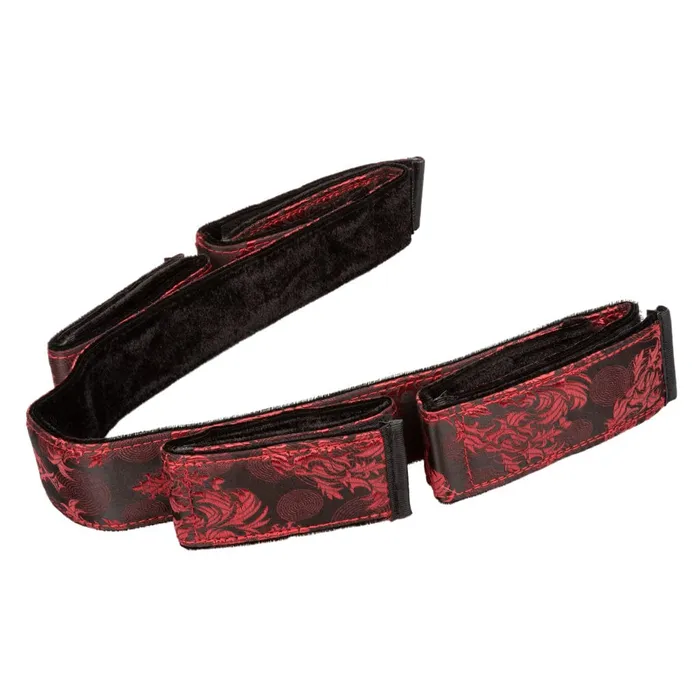 Couples Landco Scandal Bondage Bar