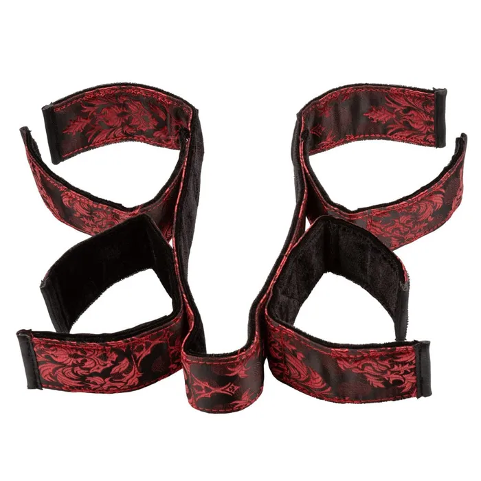 Couples Landco Scandal Bondage Bar