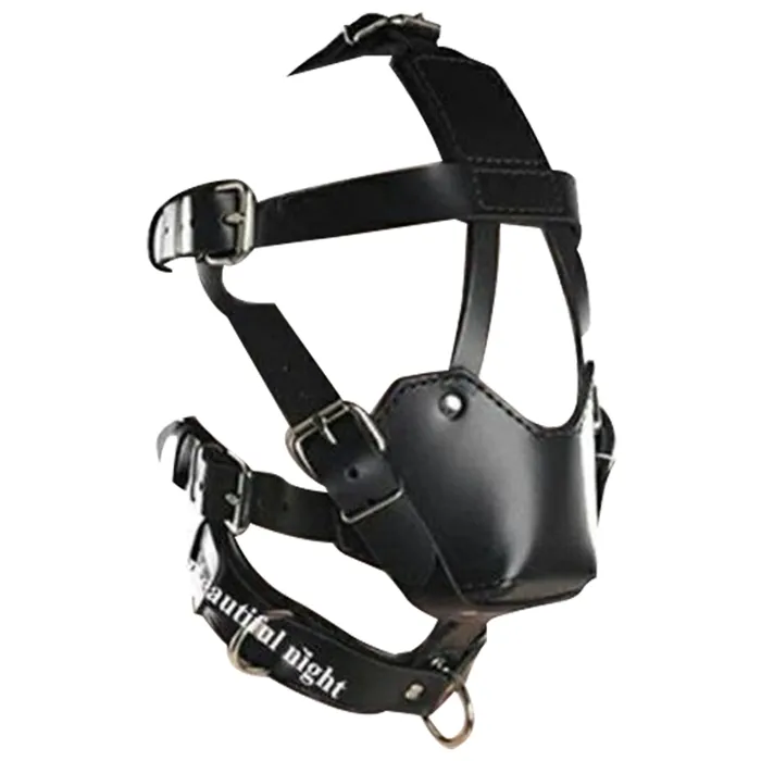 Gags Ball Gag Head Harness Mask Muzzle Blindfold Bondage Kink Bdsm Fetish Restraints House of Dasein Couples