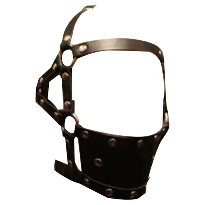 Gags Ball Gag Head Harness Mask Muzzle Blindfold Bondage Kink Bdsm Fetish Restraints House of Dasein Couples