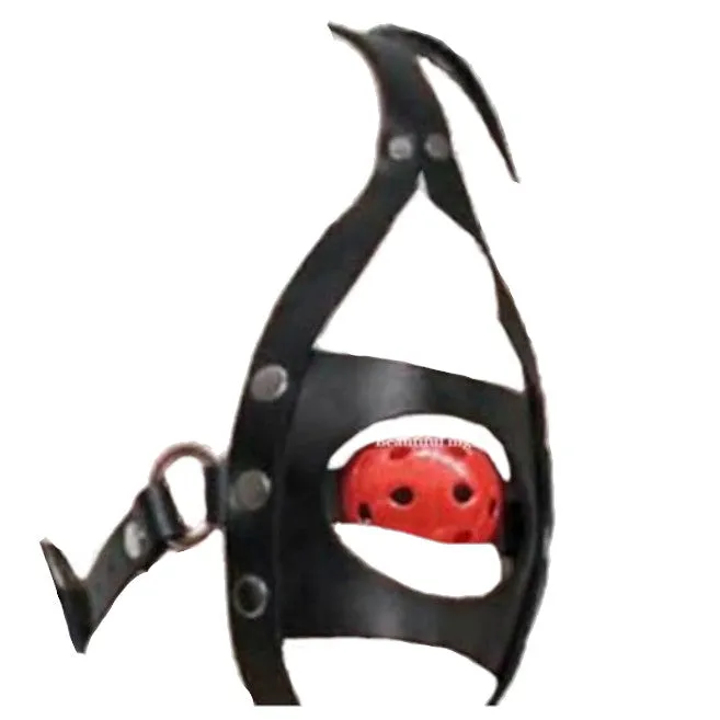 Gags Ball Gag Head Harness Mask Muzzle Blindfold Bondage Kink Bdsm Fetish Restraints House of Dasein Couples