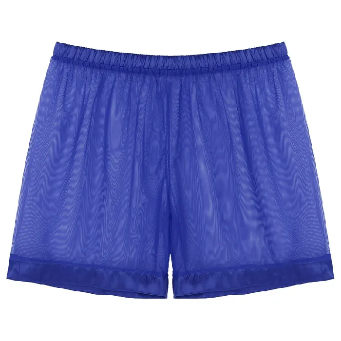 Male Sex Toys Mens SeeThrough Nightwear Lounge Mesh Boxer Shorts for Men Male Sexy Underwear EVEs SECRETS