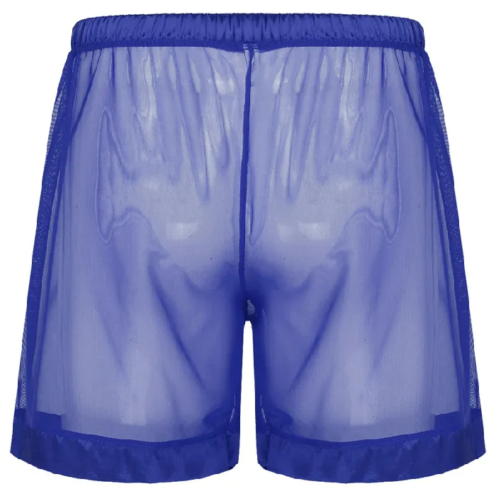 Male Sex Toys Mens SeeThrough Nightwear Lounge Mesh Boxer Shorts for Men Male Sexy Underwear EVEs SECRETS
