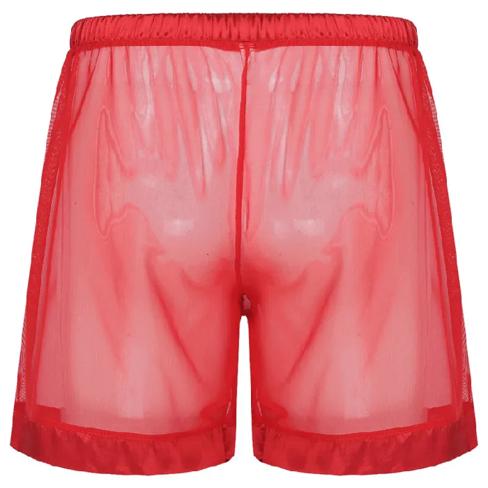 Male Sex Toys Mens SeeThrough Nightwear Lounge Mesh Boxer Shorts for Men Male Sexy Underwear EVEs SECRETS