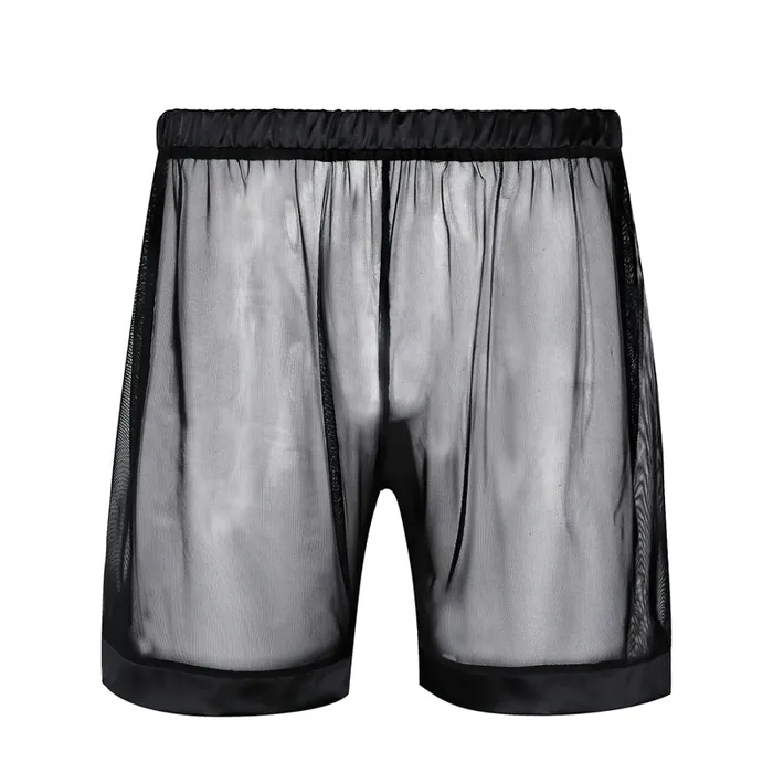Male Sex Toys Mens SeeThrough Nightwear Lounge Mesh Boxer Shorts for Men Male Sexy Underwear EVEs SECRETS