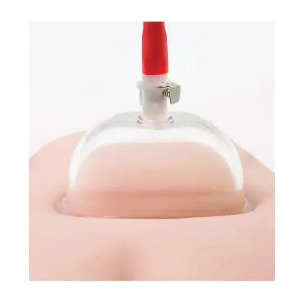 Blush Male Sex Toys Blush Temptasia Intense Pussy Pump System Blush Male Sex Toys Blush Temptasia Intense Pussy Pump System