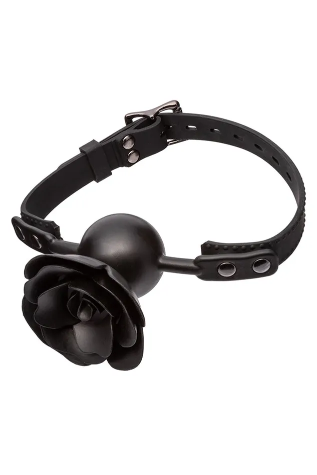 Cal Exotics Vibrators Cal Exotics Forbidden Removable Rose Gag Black