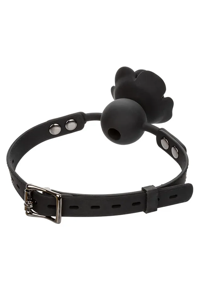 Cal Exotics Vibrators Cal Exotics Forbidden Removable Rose Gag Black